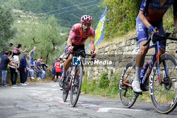 2024-06-23 - 23/06/2024 -NATIONAL CHAMPIONSHIPS ITALY ME- FIRENZE - SESTO FIORENTINO- 228 KM - Alberto Bettiol - ITALIAN PROFESSIONAL CHAMPIONSHIP - MEN - STREET - CYCLING