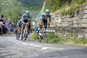 2024-06-23 - 23/06/2024 -NATIONAL CHAMPIONSHIPS ITALY ME- FIRENZE - SESTO FIORENTINO- 228 KM - ITALIAN PROFESSIONAL CHAMPIONSHIP - MEN - STREET - CYCLING