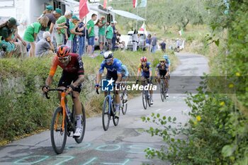 2024-06-23 - 23/06/2024 -NATIONAL CHAMPIONSHIPS ITALY ME- FIRENZE - SESTO FIORENTINO- 228 KM- Ganna Filippo - ITALIAN PROFESSIONAL CHAMPIONSHIP - MEN - STREET - CYCLING