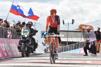 2024-05-19 - The group reaches on finish line of Stage 15 - Manerba del Garda-Livigno (Mottolino) - Giro d'Italia 2024 - STAGE 15 - MANERBA DEL GARDA-LIVIGNO - GIRO D'ITALIA - CYCLING