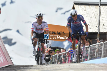 2024-05-19 - The group reaches on finish line of Stage 15 - Manerba del Garda-Livigno (Mottolino) - Giro d'Italia 2024 - STAGE 15 - MANERBA DEL GARDA-LIVIGNO - GIRO D'ITALIA - CYCLING