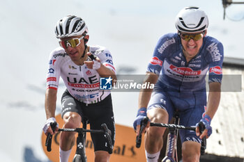 2024-05-19 - The group reaches on finish line of Stage 15 - Manerba del Garda-Livigno (Mottolino) - Giro d'Italia 2024 - STAGE 15 - MANERBA DEL GARDA-LIVIGNO - GIRO D'ITALIA - CYCLING