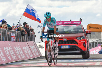 2024-05-19 - Domenico Pozzovivo of VF Gruop Bardiani CSF Faizane' reaches on finish line of Stage 15 - Manerba del Garda-Livigno (Mottolino) - Giro d'Italia 2024 - STAGE 15 - MANERBA DEL GARDA-LIVIGNO - GIRO D'ITALIA - CYCLING