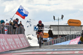 2024-05-19 - The group reaches on finish line of Stage 15 - Manerba del Garda-Livigno (Mottolino) - Giro d'Italia 2024 - STAGE 15 - MANERBA DEL GARDA-LIVIGNO - GIRO D'ITALIA - CYCLING