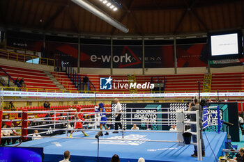 2024-03-06 - E-Work Arena Busto Arsizio, Boxing Road to Paris - BOXING ROAD TO PARIS - BOXING - CONTACT