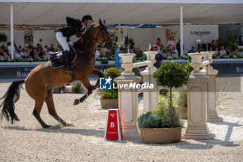 2024-08-31 - Maikel Van Der Vleuten om Beauville Z N.O.P., of the first place team Madrid in Motion, during the first round of the Longines Global Champions League - RIDING LONGINES GLOBAL CHAMPIONS LEAGUE ROME 2024 - INTERNATIONALS - EQUESTRIAN