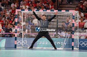 2024-08-09 - Niklas Landin Jacobsen (Denmark), Handball, Men's Semifinal between Slovenia and Denmark during the Olympic Games Paris 2024 on 9 August 2024 at Pierre Mauroy stadium in Villeneuve-d'Ascq near Lille, France - OLYMPIC GAMES PARIS 2024 - 09/08 - OLYMPIC GAMES PARIS 2024 - OLYMPIC GAMES