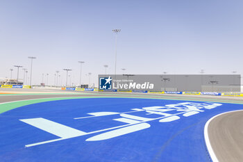 2024-02-23 - Illustration Michelin during the Prologue of the 2024 FIA World Endurance Championship, from February 24 to 26, 2024 on the Losail International Circuit in Lusail, Qatar - FIA WEC - PROLOGUE 2024 - QATAR - ENDURANCE - MOTORS