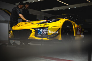 2024-02-23 - TF Sport, Corvette Z06 GT3.R #81, ambiance during the Prologue of the 2024 FIA World Endurance Championship, from February 24 to 26, 2024 on the Losail International Circuit in Lusail, Qatar - FIA WEC - PROLOGUE 2024 - QATAR - ENDURANCE - MOTORS