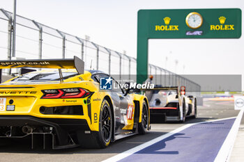 2024-02-26 - 81 EASTWOOD Charlie (irl), ANDRADE Rui (ang), VAN ROMPUY Tom (bel), TF Sport, Corvette Z06 GT3.R #81, ambiance during the Prologue of the 2024 FIA World Endurance Championship, from February 24 to 26, 2024 on the Losail International Circuit in Lusail, Qatar - FIA WEC - PROLOGUE 2024 - QATAR - ENDURANCE - MOTORS
