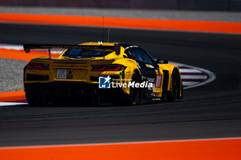 2024-02-27 - 81 EASTWOOD Charlie (irl), ANDRADE Rui (ang), VAN ROMPUY Tom (bel), TF Sport, Corvette Z06 GT3.R #81, action during the Prologue of the 2024 FIA World Endurance Championship, from February 24 to 26, 2024 on the Losail International Circuit in Lusail, Qatar - FIA WEC - PROLOGUE 2024 - QATAR - ENDURANCE - MOTORS