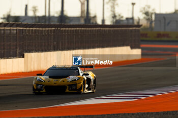 2024-03-01 - 81 EASTWOOD Charlie (irl), ANDRADE Rui (ang), VAN ROMPUY Tom (bel), TF Sport, Corvette Z06 GT3.R #81, LM GT3, action during the Qatar Airways Qatar 1812 KM, 1st round of the 2024 FIA World Endurance Championship, from February 29 to March 02, 2024 on the Losail International Circuit in Lusail, Qatar - FIA WEC - QATAR AIRWAYS QATAR 1812 KM - ENDURANCE - MOTORS