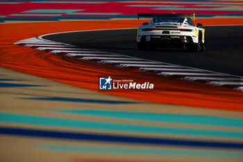 2024-03-01 - 92 MALYKHIN Aliaksandr (kna), STURM Joel (ger), BACHLER Klaus (aut), Manthey Purerxcing, Porsche 911 GT3 R #91, LM GT3, action during the Qatar Airways Qatar 1812 KM, 1st round of the 2024 FIA World Endurance Championship, from February 29 to March 02, 2024 on the Losail International Circuit in Lusail, Qatar - FIA WEC - QATAR AIRWAYS QATAR 1812 KM - ENDURANCE - MOTORS