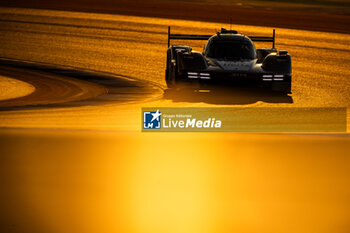 2024-03-01 - 38 RASMUSSEN Oliver (dnk), HANSON Philip (gbr), BUTTON Jenson (gbr), Hertz Team Jota, Porsche 963 #38, Hypercar, action during the Qatar Airways Qatar 1812 KM, 1st round of the 2024 FIA World Endurance Championship, from February 29 to March 02, 2024 on the Losail International Circuit in Lusail, Qatar - FIA WEC - QATAR AIRWAYS QATAR 1812 KM - ENDURANCE - MOTORS