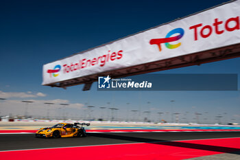 2024-03-01 - 91 LIETZ Richard (aut), SCHURING Morris (nld), SHAHIN Yasser (aus), Manthey EMA, Porsche 911 GT3 R #91, LM GT3, action during the Qatar Airways Qatar 1812 KM, 1st round of the 2024 FIA World Endurance Championship, from February 29 to March 02, 2024 on the Losail International Circuit in Lusail, Qatar - FIA WEC - QATAR AIRWAYS QATAR 1812 KM - ENDURANCE - MOTORS