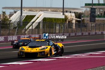 2024-03-01 - 81 EASTWOOD Charlie (irl), ANDRADE Rui (ang), VAN ROMPUY Tom (bel), TF Sport, Corvette Z06 GT3.R #81, LM GT3, action during the Qatar Airways Qatar 1812 KM, 1st round of the 2024 FIA World Endurance Championship, from February 29 to March 02, 2024 on the Losail International Circuit in Lusail, Qatar - FIA WEC - QATAR AIRWAYS QATAR 1812 KM - ENDURANCE - MOTORS