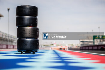 2024-03-02 - michelin, tyres, pneus, grille de depart, starting grid, during the Qatar Airways Qatar 1812 KM, 1st round of the 2024 FIA World Endurance Championship, from February 29 to March 02, 2024 on the Losail International Circuit in Lusail, Qatar - FIA WEC - QATAR AIRWAYS QATAR 1812 KM - ENDURANCE - MOTORS