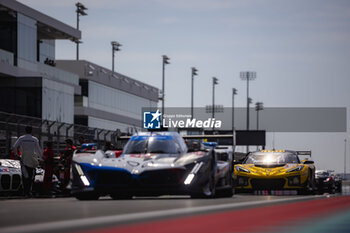 2024-03-02 - 81 EASTWOOD Charlie (irl), ANDRADE Rui (ang), VAN ROMPUY Tom (bel), TF Sport, Corvette Z06 GT3.R #81, LM GT3, grille de depart, starting grid during the Qatar Airways Qatar 1812 KM, 1st round of the 2024 FIA World Endurance Championship, from February 29 to March 02, 2024 on the Losail International Circuit in Lusail, Qatar - FIA WEC - QATAR AIRWAYS QATAR 1812 KM - ENDURANCE - MOTORS