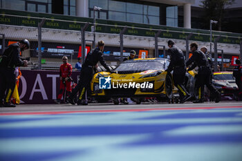 2024-03-02 - 81 EASTWOOD Charlie (irl), ANDRADE Rui (ang), VAN ROMPUY Tom (bel), TF Sport, Corvette Z06 GT3.R #81, LM GT3, grille de depart, starting grid during the Qatar Airways Qatar 1812 KM, 1st round of the 2024 FIA World Endurance Championship, from February 29 to March 02, 2024 on the Losail International Circuit in Lusail, Qatar - FIA WEC - QATAR AIRWAYS QATAR 1812 KM - ENDURANCE - MOTORS