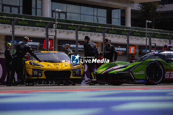 2024-03-02 - 81 EASTWOOD Charlie (irl), ANDRADE Rui (ang), VAN ROMPUY Tom (bel), TF Sport, Corvette Z06 GT3.R #81, LM GT3, grille de depart, starting grid during the Qatar Airways Qatar 1812 KM, 1st round of the 2024 FIA World Endurance Championship, from February 29 to March 02, 2024 on the Losail International Circuit in Lusail, Qatar - FIA WEC - QATAR AIRWAYS QATAR 1812 KM - ENDURANCE - MOTORS