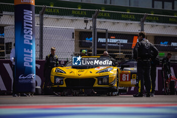 2024-03-02 - 81 EASTWOOD Charlie (irl), ANDRADE Rui (ang), VAN ROMPUY Tom (bel), TF Sport, Corvette Z06 GT3.R #81, LM GT3, grille de depart, starting grid, pole position during the Qatar Airways Qatar 1812 KM, 1st round of the 2024 FIA World Endurance Championship, from February 29 to March 02, 2024 on the Losail International Circuit in Lusail, Qatar - FIA WEC - QATAR AIRWAYS QATAR 1812 KM - ENDURANCE - MOTORS