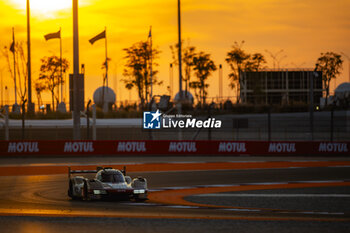 2024-03-02 - 12 STEVENS Will (gbr), NATO Norman (fra), ILOTT Callum (gbr), Hertz Team Jota, Porsche 963 #12, Hypercar, action during the Qatar Airways Qatar 1812 KM, 1st round of the 2024 FIA World Endurance Championship, from February 29 to March 02, 2024 on the Losail International Circuit in Lusail, Qatar - FIA WEC - QATAR AIRWAYS QATAR 1812 KM - ENDURANCE - MOTORS