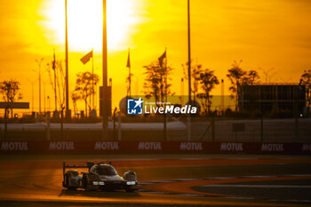 2024-03-02 - 38 RASMUSSEN Oliver (dnk), HANSON Philip (gbr), BUTTON Jenson (gbr), Hertz Team Jota, Porsche 963 #38, Hypercar, action during the Qatar Airways Qatar 1812 KM, 1st round of the 2024 FIA World Endurance Championship, from February 29 to March 02, 2024 on the Losail International Circuit in Lusail, Qatar - FIA WEC - QATAR AIRWAYS QATAR 1812 KM - ENDURANCE - MOTORS