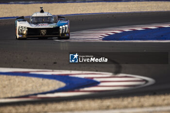 2024-03-02 - 94 DUVAL Loïc (fra), DI RESTA Paul (gbr), VANDOORNE Stoffel, Peugeot TotalEnergies, Peugeot 9x8 #94, Hypercar, action during the Qatar Airways Qatar 1812 KM, 1st round of the 2024 FIA World Endurance Championship, from February 29 to March 02, 2024 on the Losail International Circuit in Lusail, Qatar - FIA WEC - QATAR AIRWAYS QATAR 1812 KM - ENDURANCE - MOTORS