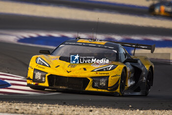 2024-03-02 - 81 EASTWOOD Charlie (irl), ANDRADE Rui (ang), VAN ROMPUY Tom (bel), TF Sport, Corvette Z06 GT3.R #81, LM GT3, action during the Qatar Airways Qatar 1812 KM, 1st round of the 2024 FIA World Endurance Championship, from February 29 to March 02, 2024 on the Losail International Circuit in Lusail, Qatar - FIA WEC - QATAR AIRWAYS QATAR 1812 KM - ENDURANCE - MOTORS