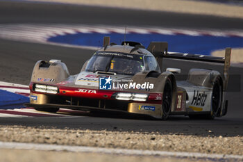 2024-03-02 - 38 RASMUSSEN Oliver (dnk), HANSON Philip (gbr), BUTTON Jenson (gbr), Hertz Team Jota, Porsche 963 #38, Hypercar, action during the Qatar Airways Qatar 1812 KM, 1st round of the 2024 FIA World Endurance Championship, from February 29 to March 02, 2024 on the Losail International Circuit in Lusail, Qatar - FIA WEC - QATAR AIRWAYS QATAR 1812 KM - ENDURANCE - MOTORS