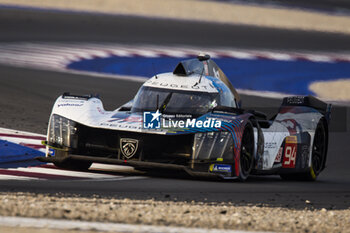 2024-03-02 - 94 DUVAL Loïc (fra), DI RESTA Paul (gbr), VANDOORNE Stoffel, Peugeot TotalEnergies, Peugeot 9x8 #94, Hypercar, action during the Qatar Airways Qatar 1812 KM, 1st round of the 2024 FIA World Endurance Championship, from February 29 to March 02, 2024 on the Losail International Circuit in Lusail, Qatar - FIA WEC - QATAR AIRWAYS QATAR 1812 KM - ENDURANCE - MOTORS