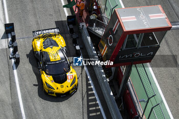 2024-04-20 - 81 EASTWOOD Charlie (irl), ANDRADE Rui (ang), VAN ROMPUY Tom (bel), TF Sport, Corvette Z06 GT3.R #81, LM GT3, action during the 2024 6 Hours of Imola, 2nd round of the 2024 FIA World Endurance Championship, from April 18 to 21, 2024 on the Autodromo Internazionale Enzo e Dino Ferrari in Imola - FIA WEC - 6 HOURS OF IMOLA 2024 - ENDURANCE - MOTORS
