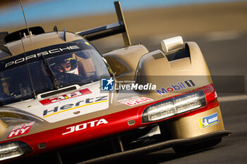 2024-06-12 - 38 RASMUSSEN Oliver (dnk), HANSON Philip (gbr), BUTTON Jenson (gbr), Hertz Team Jota, Porsche 963 #38, Hypercar, FIA WEC, action during the Wednesday Qualifying session of the 2024 24 Hours of Le Mans, 4th round of the 2024 FIA World Endurance Championship, on the Circuit des 24 Heures du Mans, on June 12, 2024 in Le Mans, France - 24 HEURES DU MANS 2024 - WEDNESDAY - QUALIFYING - ENDURANCE - MOTORS