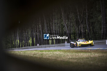 2024-06-13 - 03 BOURDAIS Sébastien (fra), VAN DER ZANDE Renger (ned), DIXON Scott (nzl), Cadillac Racing, Cadillac V-Series.R #03, Hypercar, action during the Free Practice 3 of the 2024 24 Hours of Le Mans, 4th round of the 2024 FIA World Endurance Championship, on the Circuit des 24 Heures du Mans, on June 13, 2024 in Le Mans, France - 24 HEURES DU MANS 2024 - THURSDAY - FREE PRACTICE 3 - ENDURANCE - MOTORS