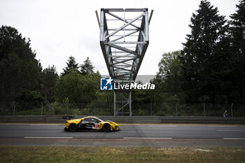 2024-06-13 - 81 EASTWOOD Charlie (irl), ANDRADE Rui (ang), VAN ROMPUY Tom (bel), TF Sport, Corvette Z06 GT3.R #81, LM GT3, FIA WEC, action during the Free Practice 3 of the 2024 24 Hours of Le Mans, 4th round of the 2024 FIA World Endurance Championship, on the Circuit des 24 Heures du Mans, on June 13, 2024 in Le Mans, France - 24 HEURES DU MANS 2024 - THURSDAY - FREE PRACTICE 3 - ENDURANCE - MOTORS