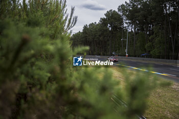 2024-06-13 - 31 FARFUS Augusto (bra), GELAEL Sean (ind), LEUNG Darren (gbr), Team WRT, BMW M4 GT3 #31, LM GT3, FIA WEC, action during the Free Practice 3 of the 2024 24 Hours of Le Mans, 4th round of the 2024 FIA World Endurance Championship, on the Circuit des 24 Heures du Mans, on June 13, 2024 in Le Mans, France - 24 HEURES DU MANS 2024 - THURSDAY - FREE PRACTICE 3 - ENDURANCE - MOTORS