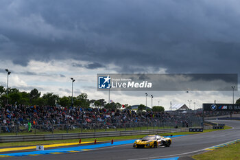 2024-06-15 - 81 EASTWOOD Charlie (irl), ANDRADE Rui (ang), VAN ROMPUY Tom (bel), TF Sport, Corvette Z06 GT3.R #81, LM GT3, FIA WEC, action during the 2024 24 Hours of Le Mans, 4th round of the 2024 FIA World Endurance Championship, on the Circuit des 24 Heures du Mans, from June 15 to 16, 2024 in Le Mans, France - 24 HEURES DU MANS 2024 - RACE - ENDURANCE - MOTORS