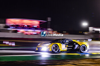 2024-06-16 - 81 EASTWOOD Charlie (irl), ANDRADE Rui (ang), VAN ROMPUY Tom (bel), TF Sport, Corvette Z06 GT3.R #81, LM GT3, FIA WEC, action during the 2024 24 Hours of Le Mans, 4th round of the 2024 FIA World Endurance Championship, on the Circuit des 24 Heures du Mans, from June 15 to 16, 2024 in Le Mans, France - 24 HEURES DU MANS 2024 - RACE - ENDURANCE - MOTORS