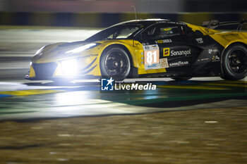 2024-06-16 - 81 EASTWOOD Charlie (irl), ANDRADE Rui (ang), VAN ROMPUY Tom (bel), TF Sport, Corvette Z06 GT3.R #81, LM GT3, FIA WEC, action during the 2024 24 Hours of Le Mans, 4th round of the 2024 FIA World Endurance Championship, on the Circuit des 24 Heures du Mans, from June 15 to 16, 2024 in Le Mans, France - 24 HEURES DU MANS 2024 - RACE - ENDURANCE - MOTORS