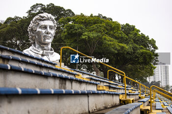 2024-07-11 - Ayrton Senna tribute during the 2024 Rolex 6 Hours of Sao Paulo, 5th round of the 2024 FIA World Endurance Championship, from July 12 to 14, 2024 on the Autódromo José Carlos Pace in Interlagos, Brazil - FIA WEC - 6 HOURS OF SAO PAULO 2024 - ENDURANCE - MOTORS