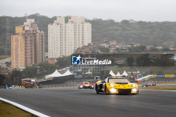 2024-07-12 - 81 EASTWOOD Charlie (irl), ANDRADE Rui (ang), VAN ROMPUY Tom (bel), TF Sport, Corvette Z06 GT3.R #81, LM GT3, action during the 2024 Rolex 6 Hours of Sao Paulo, 5th round of the 2024 FIA World Endurance Championship, from July 12 to 14, 2024 on the Autódromo José Carlos Pace in Interlagos, Brazil - FIA WEC - 6 HOURS OF SAO PAULO 2024 - ENDURANCE - MOTORS