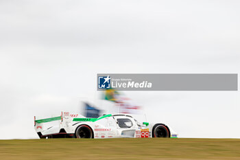 2024-07-12 - 99 JANI Neel (swi), ANDLAUER Julien (fra), Proton Competition, Porsche 963 #99, Hypercar, action during the 2024 Rolex 6 Hours of Sao Paulo, 5th round of the 2024 FIA World Endurance Championship, from July 12 to 14, 2024 on the Autódromo José Carlos Pace in Interlagos, Brazil - FIA WEC - 6 HOURS OF SAO PAULO 2024 - ENDURANCE - MOTORS