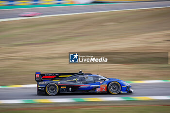 2024-07-12 - 02 BAMBER Earl (nzl), LYNN Alex (gbr), Cadillac Racing #02, Hypercar, action during the 2024 Rolex 6 Hours of Sao Paulo, 5th round of the 2024 FIA World Endurance Championship, from July 12 to 14, 2024 on the Autódromo José Carlos Pace in Interlagos, Brazil - FIA WEC - 6 HOURS OF SAO PAULO 2024 - ENDURANCE - MOTORS