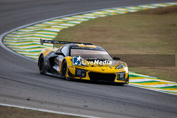 2024-07-12 - 81 EASTWOOD Charlie (irl), ANDRADE Rui (ang), VAN ROMPUY Tom (bel), TF Sport, Corvette Z06 GT3.R #81, LM GT3, action during the 2024 Rolex 6 Hours of Sao Paulo, 5th round of the 2024 FIA World Endurance Championship, from July 11 to 14, 2024 on the Autódromo José Carlos Pace in Interlagos, Brazil - FIA WEC - 6 HOURS OF SAO PAULO 2024 - ENDURANCE - MOTORS