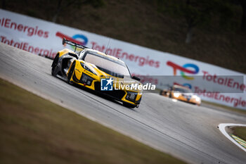 2024-07-12 - 81 EASTWOOD Charlie (irl), ANDRADE Rui (ang), VAN ROMPUY Tom (bel), TF Sport, Corvette Z06 GT3.R #81, LM GT3, action during the 2024 Rolex 6 Hours of Sao Paulo, 5th round of the 2024 FIA World Endurance Championship, from July 11 to 14, 2024 on the Autódromo José Carlos Pace in Interlagos, Brazil - FIA WEC - 6 HOURS OF SAO PAULO 2024 - ENDURANCE - MOTORS