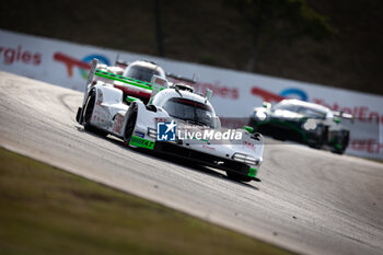 2024-07-12 - 99 JANI Neel (swi), ANDLAUER Julien (fra), Proton Competition, Porsche 963 #99, Hypercar, action during the 2024 Rolex 6 Hours of Sao Paulo, 5th round of the 2024 FIA World Endurance Championship, from July 11 to 14, 2024 on the Autódromo José Carlos Pace in Interlagos, Brazil - FIA WEC - 6 HOURS OF SAO PAULO 2024 - ENDURANCE - MOTORS