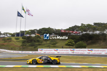 2024-07-12 - 81 EASTWOOD Charlie (irl), ANDRADE Rui (ang), VAN ROMPUY Tom (bel), TF Sport, Corvette Z06 GT3.R #81, LM GT3, action during the 2024 Rolex 6 Hours of Sao Paulo, 5th round of the 2024 FIA World Endurance Championship, from July 12 to 14, 2024 on the Autódromo José Carlos Pace in Interlagos, Brazil - FIA WEC - 6 HOURS OF SAO PAULO 2024 - ENDURANCE - MOTORS