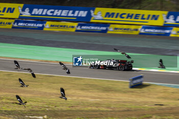 2024-07-12 - 08 BUEMI Sébastien (swi), HARTLEY Brendon (nzl), HIRAKAWA Ryo (jpn), Toyota Gazoo Racing, Toyota GR010 - Hybrid #08, Hypercar, action during the 2024 Rolex 6 Hours of Sao Paulo, 5th round of the 2024 FIA World Endurance Championship, from July 12 to 14, 2024 on the Autódromo José Carlos Pace in Interlagos, Brazil - FIA WEC - 6 HOURS OF SAO PAULO 2024 - ENDURANCE - MOTORS