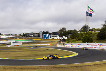 2024-07-12 - 81 EASTWOOD Charlie (irl), ANDRADE Rui (ang), VAN ROMPUY Tom (bel), TF Sport, Corvette Z06 GT3.R #81, LM GT3, action during the 2024 Rolex 6 Hours of Sao Paulo, 5th round of the 2024 FIA World Endurance Championship, from July 12 to 14, 2024 on the Autódromo José Carlos Pace in Interlagos, Brazil - FIA WEC - 6 HOURS OF SAO PAULO 2024 - ENDURANCE - MOTORS