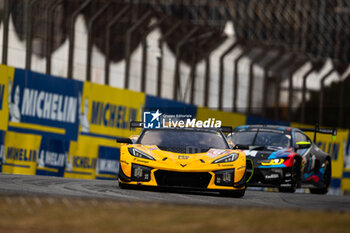 2024-07-12 - 81 EASTWOOD Charlie (irl), ANDRADE Rui (ang), VAN ROMPUY Tom (bel), TF Sport, Corvette Z06 GT3.R #81, LM GT3, action during the 2024 Rolex 6 Hours of Sao Paulo, 5th round of the 2024 FIA World Endurance Championship, from July 12 to 14, 2024 on the Autódromo José Carlos Pace in Interlagos, Brazil - FIA WEC - 6 HOURS OF SAO PAULO 2024 - ENDURANCE - MOTORS